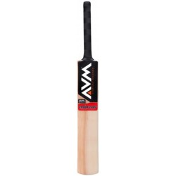 AVM Endaveour Kashmir Willow Cricket Bat